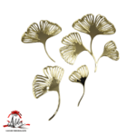 Set 4 frunze Ginkgo Biloba