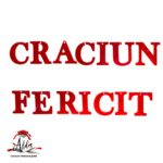 Litere "Initiale", fara suport, din plexiglas (acril) colorat - imagine 2